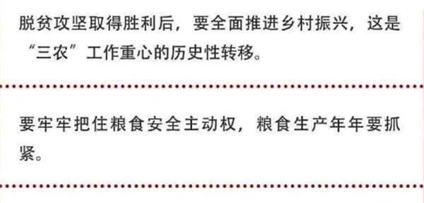 2020年中央農(nóng)村工作會(huì)議精神速覽！(圖2)